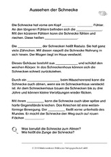 Schnecken- Aussehen.pdf